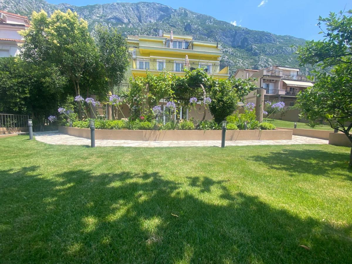 2Montenegro Mimoza Apartments Dobrota Kültér fotó