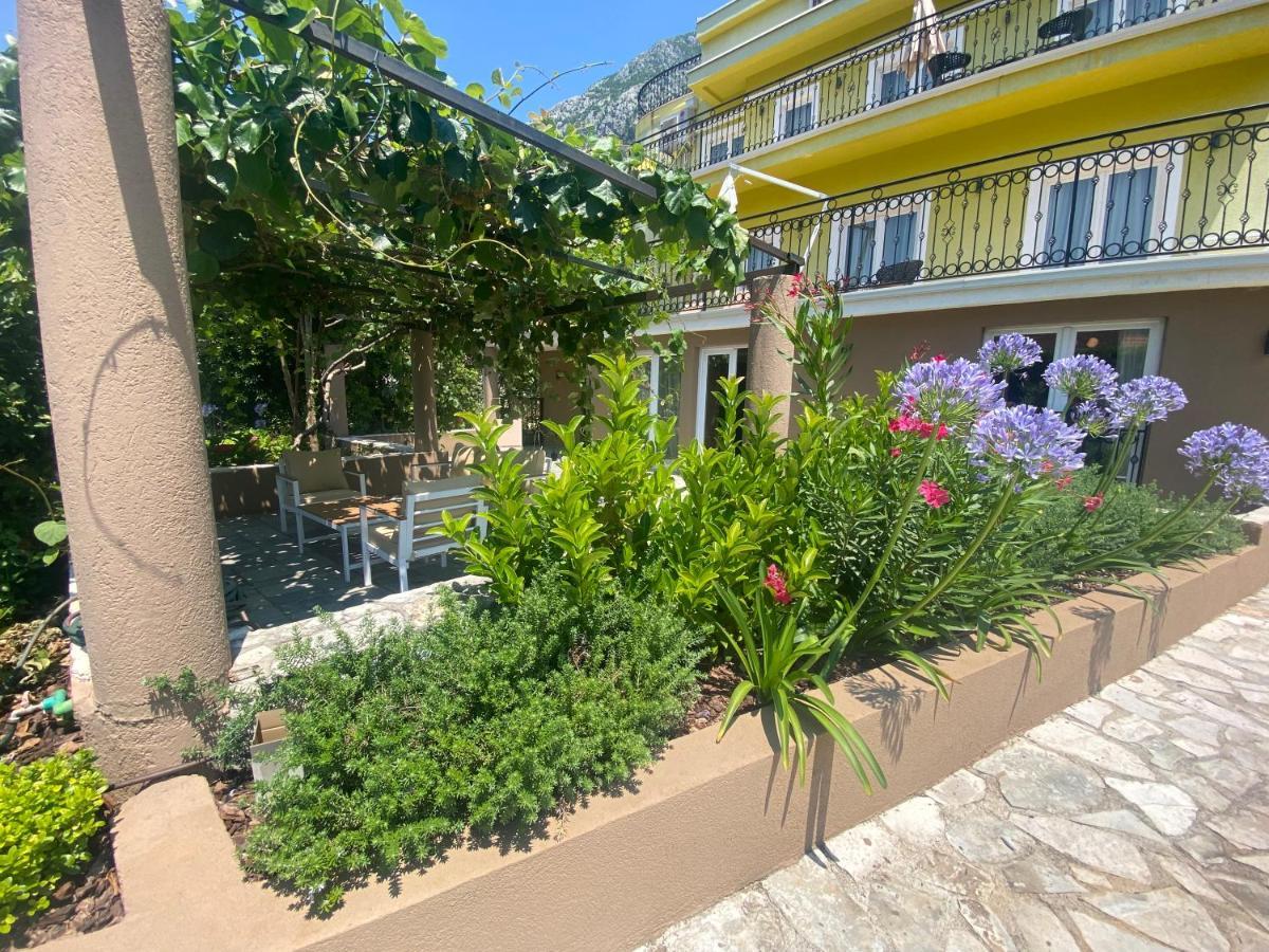 2Montenegro Mimoza Apartments Dobrota Kültér fotó